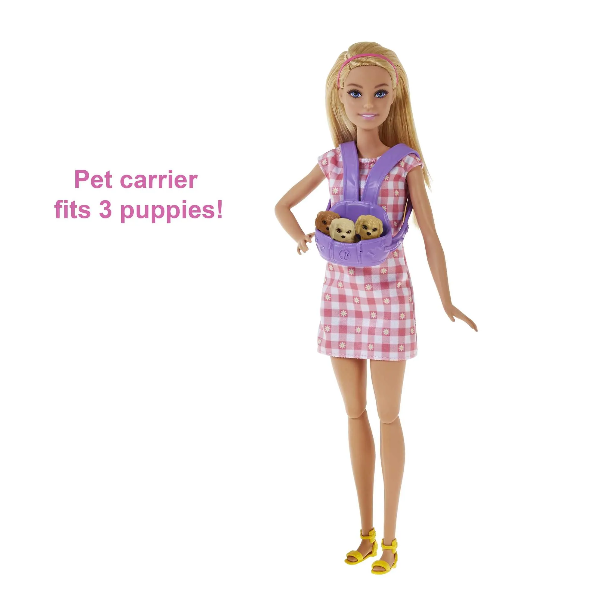 Barbie Doll And Pets